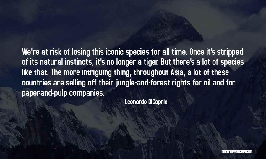 Paper Tiger In Quotes By Leonardo DiCaprio Paper Tiger In Quotes By Leonardo DiCaprio