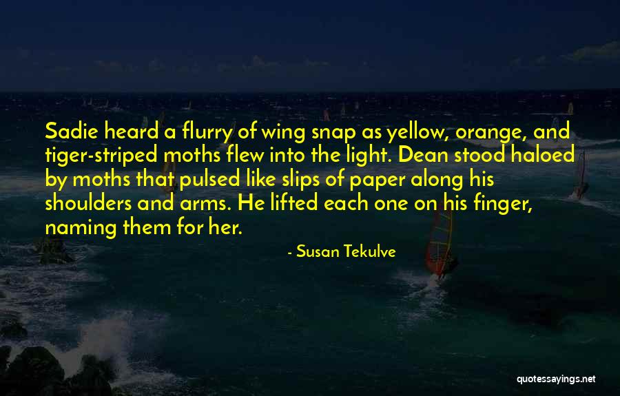 Paper Tiger In Quotes By Susan Tekulve Paper Tiger In Quotes By Susan Tekulve