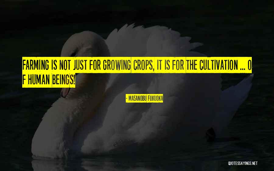 Paper When It Is First Made Quotes By Masanobu Fukuoka Paper When It Is First Made Quotes By Masanobu Fukuoka