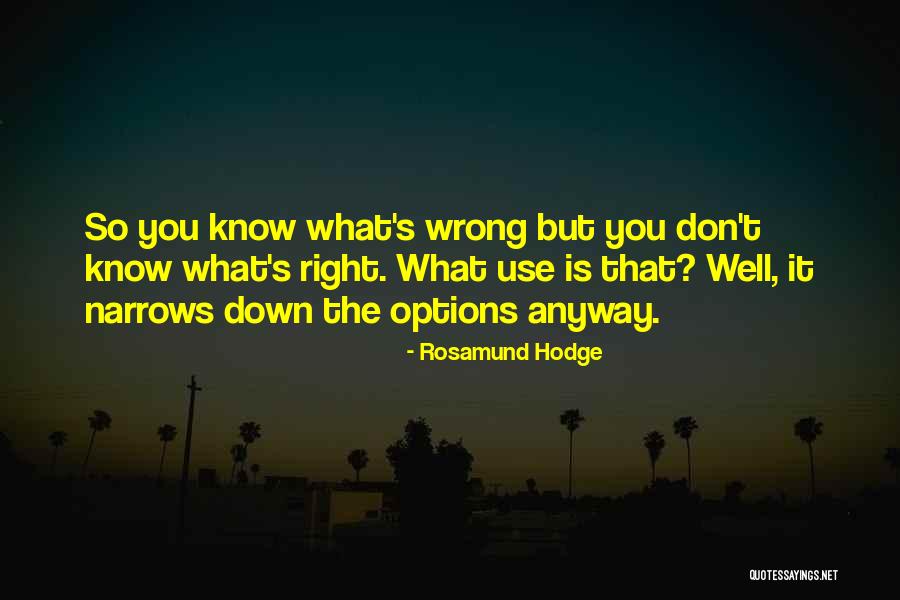Papile Aurora Quotes By Rosamund Hodge Papile Aurora Quotes By Rosamund Hodge