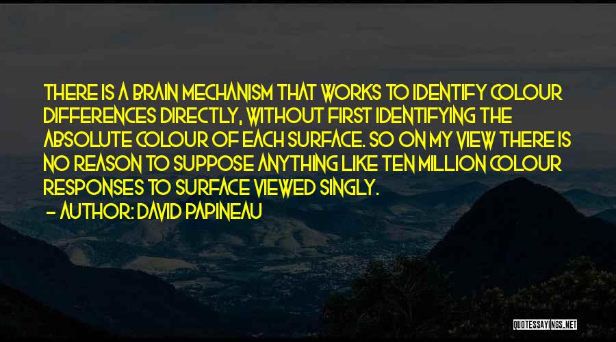 Papineau Quotes By David Papineau