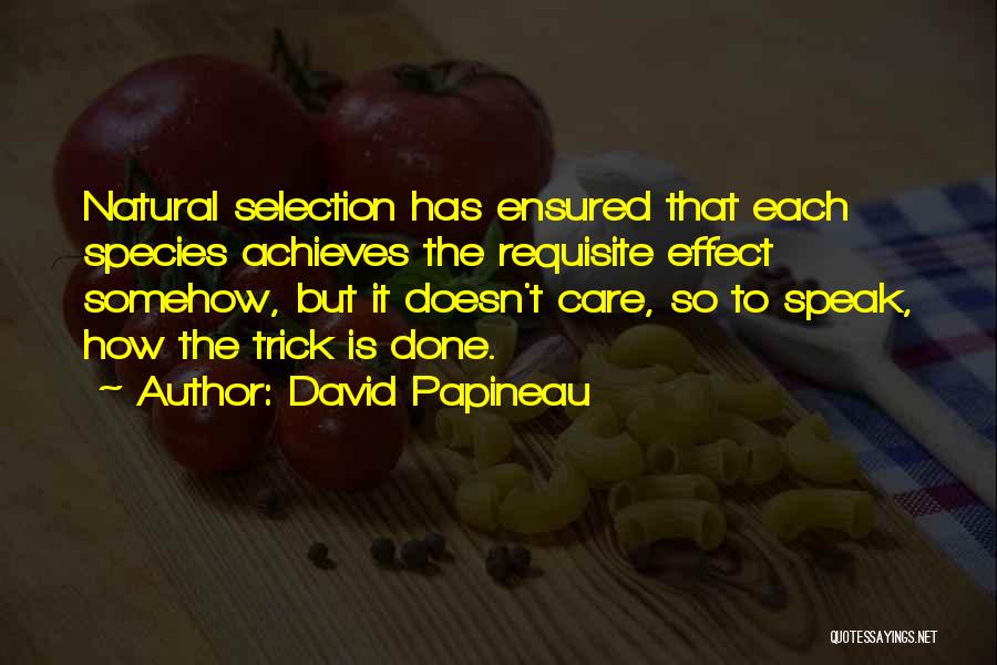 Papineau Quotes By David Papineau