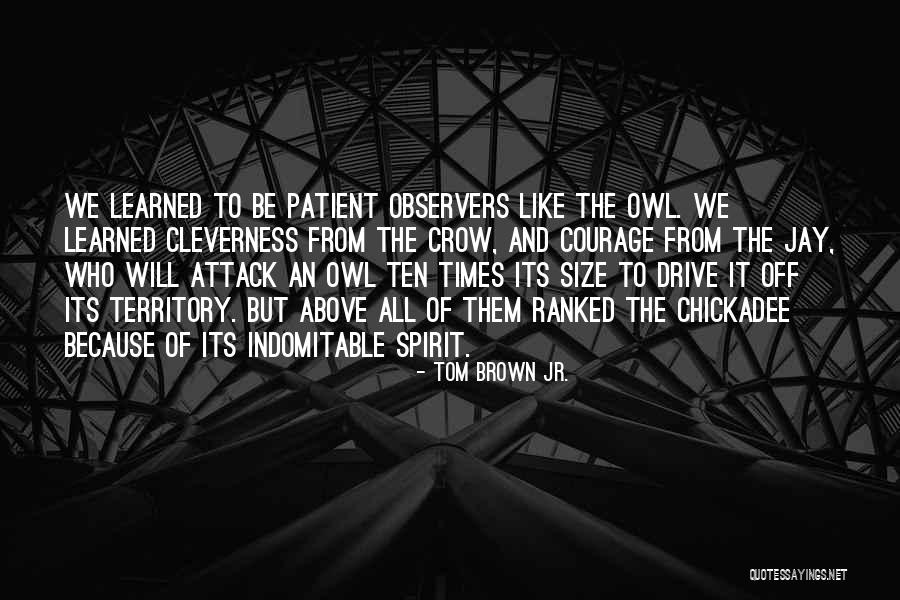 Papoose Board Quotes By Tom Brown Jr. Papoose Board Quotes By Tom Brown Jr.