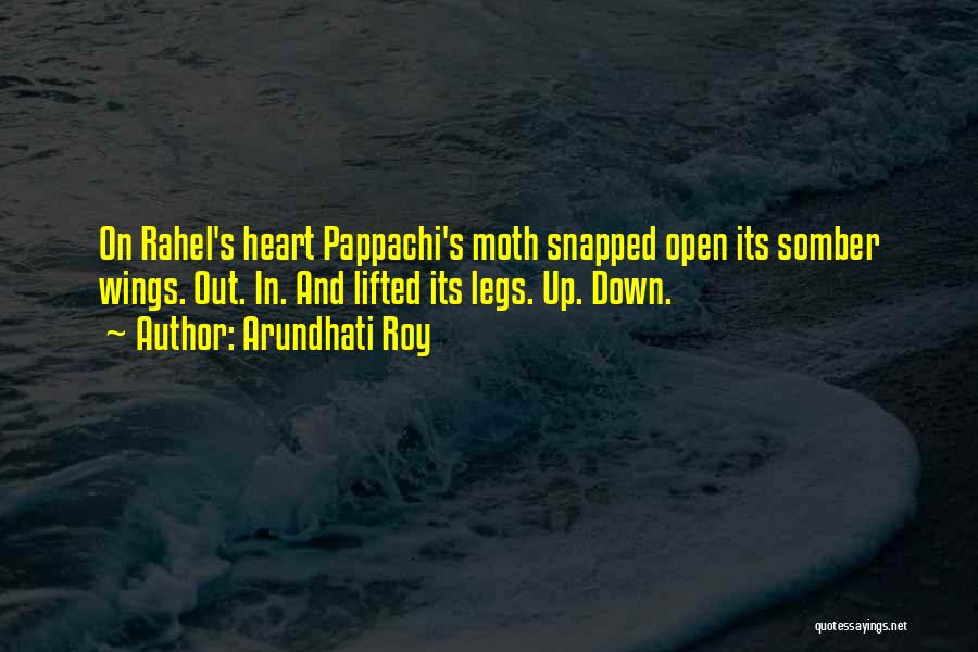 Pappachi Moth Quotes By Arundhati Roy