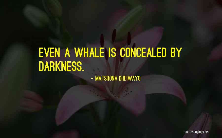 Pappalardi Felix Quotes By Matshona Dhliwayo Pappalardi Felix Quotes By Matshona Dhliwayo