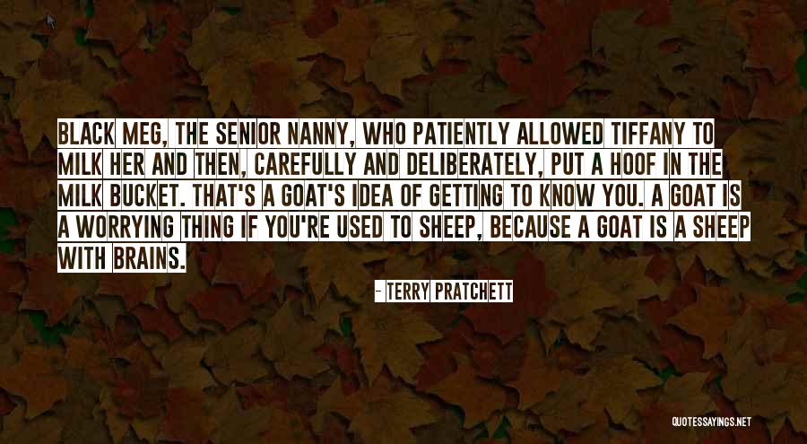 Pappaninos Pizza Quotes By Terry Pratchett Pappaninos Pizza Quotes By Terry Pratchett