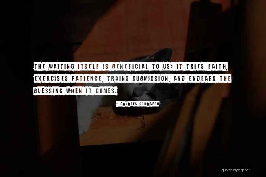 Pappenheimers Quotes By Charles Spurgeon Pappenheimers Quotes By Charles Spurgeon