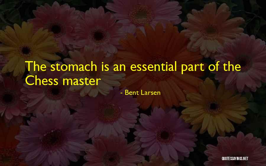 Para Volar Quotes By Bent Larsen