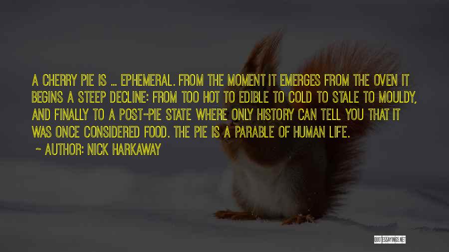 Parable Quotes By Nick Harkaway