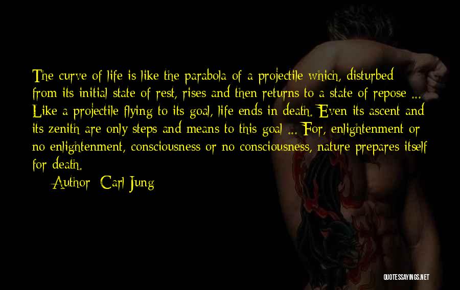 Parabola Quotes By Carl Jung