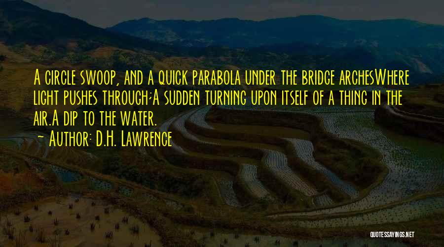 Parabola Quotes By D.H. Lawrence