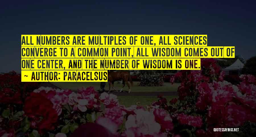 Paracelsus Quotes 1833367