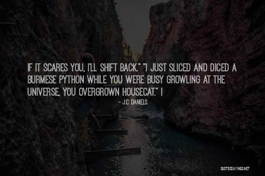 Parachuting Near Quotes By J.C. Daniels Parachuting Near Quotes By J.C. Daniels