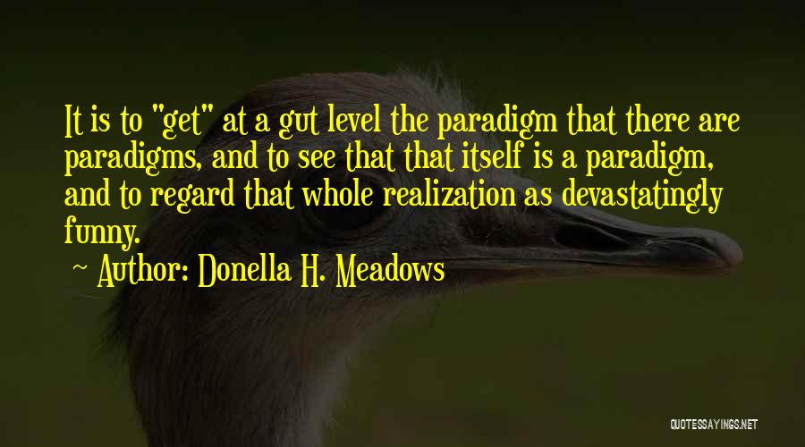 Paradigm Quotes By Donella H. Meadows