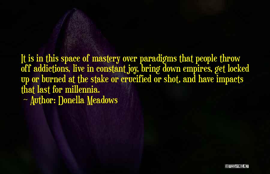 Paradigms Quotes By Donella Meadows