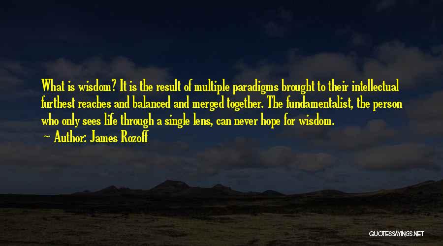 Paradigms Quotes By James Rozoff