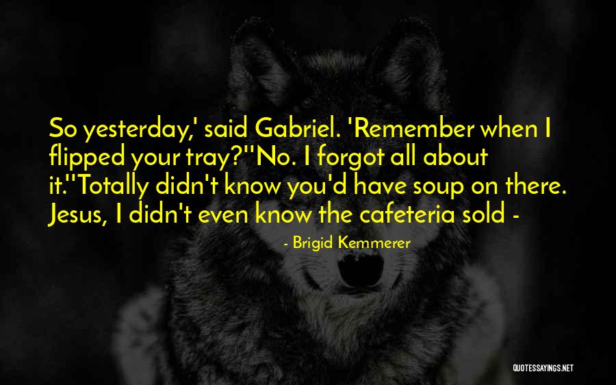 Paradise For Tots Quotes By Brigid Kemmerer Paradise For Tots Quotes By Brigid Kemmerer