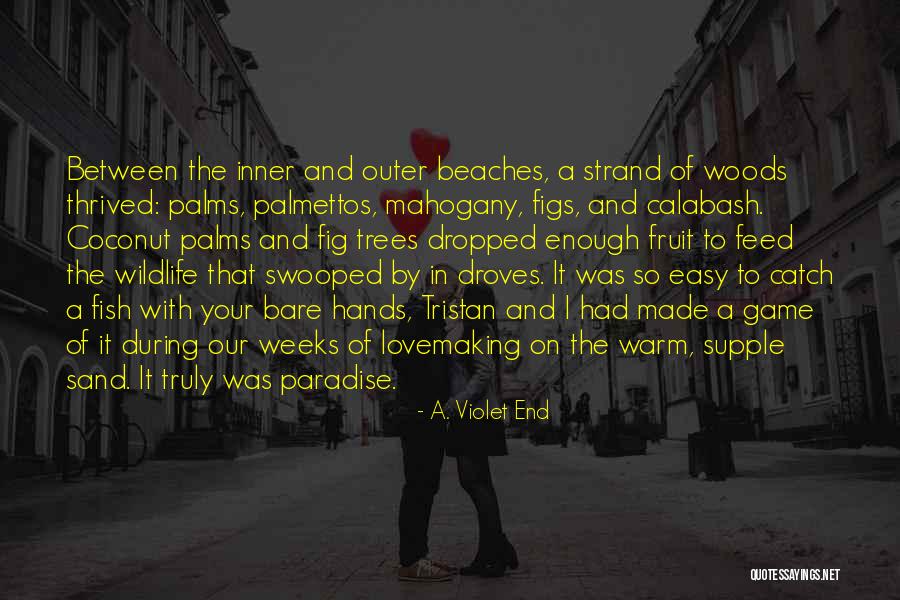 Paradise Island Quotes By A. Violet End Paradise Island Quotes By A. Violet End