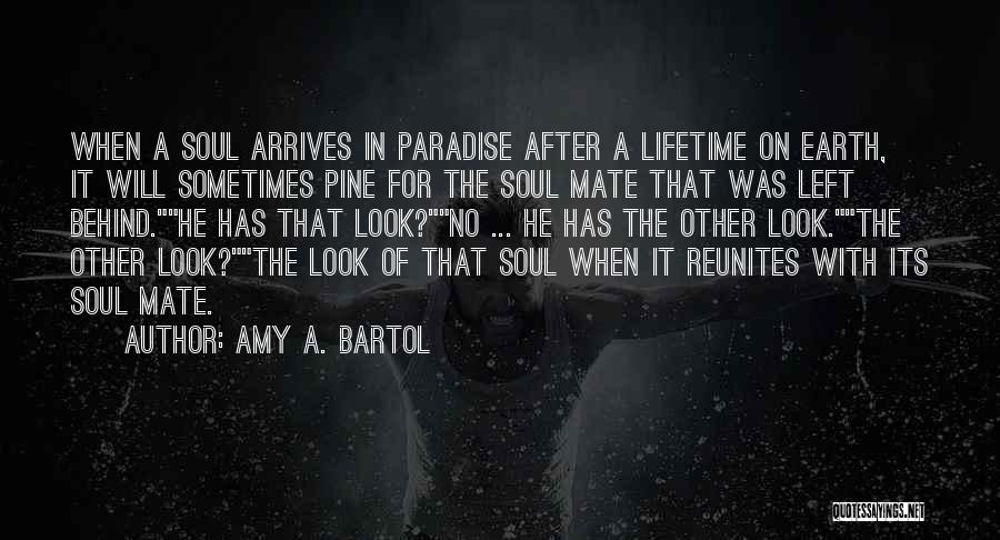 Paradise On Earth Quotes By Amy A. Bartol