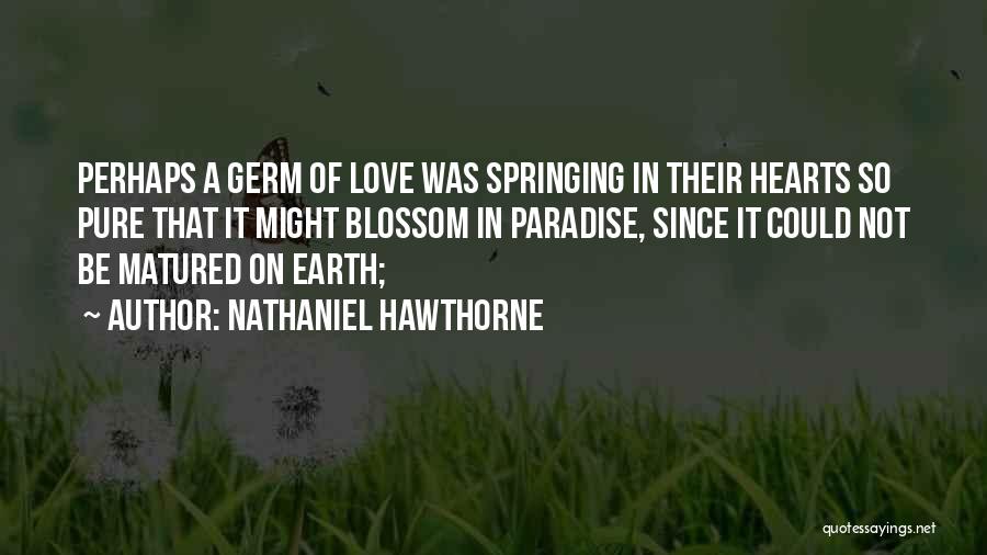Paradise On Earth Quotes By Nathaniel Hawthorne