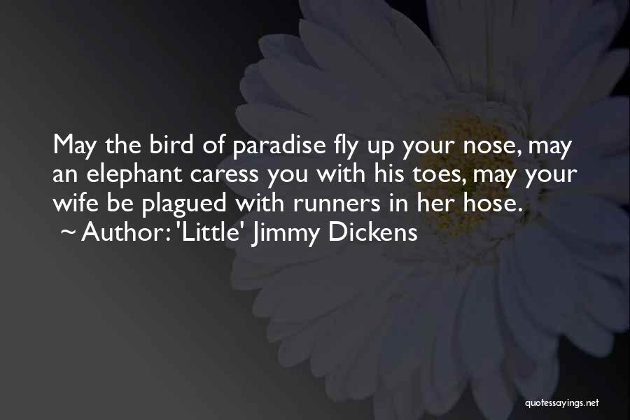 Paradise Quotes By 'Little' Jimmy Dickens