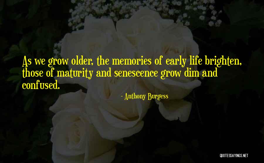Paradojico Sinonimo Quotes By Anthony Burgess Paradojico Sinonimo Quotes By Anthony Burgess