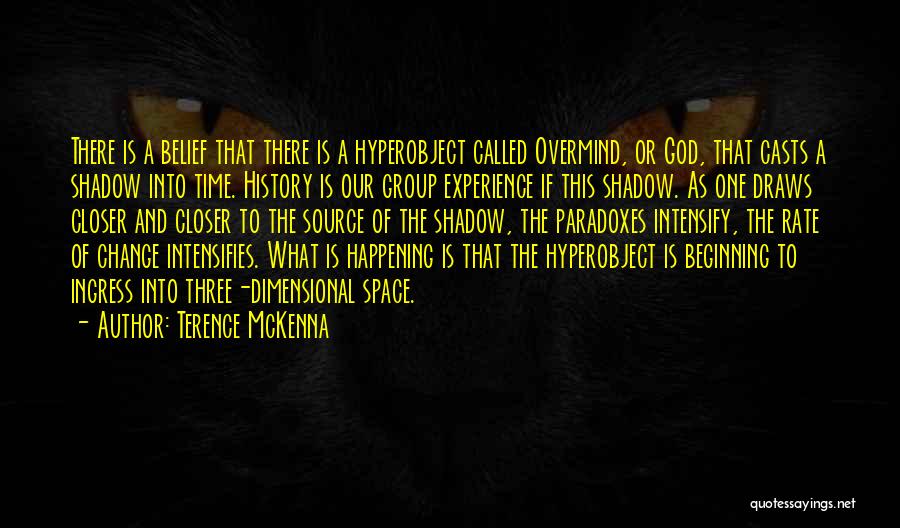 Paradoxes Quotes By Terence McKenna