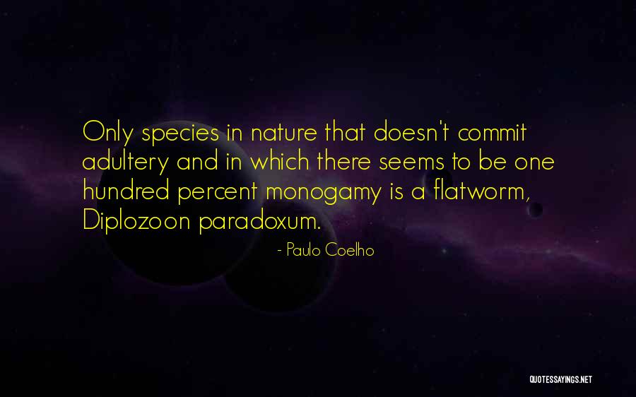 Paradoxum Quotes By Paulo Coelho Paradoxum Quotes By Paulo Coelho