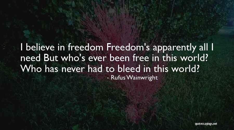 Paragraphs Of A Essay Quotes By Rufus Wainwright