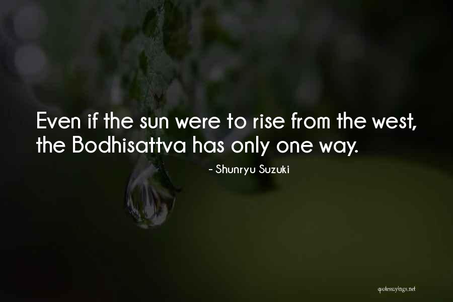 Parajon Ortho Quotes By Shunryu Suzuki Parajon Ortho Quotes By Shunryu Suzuki