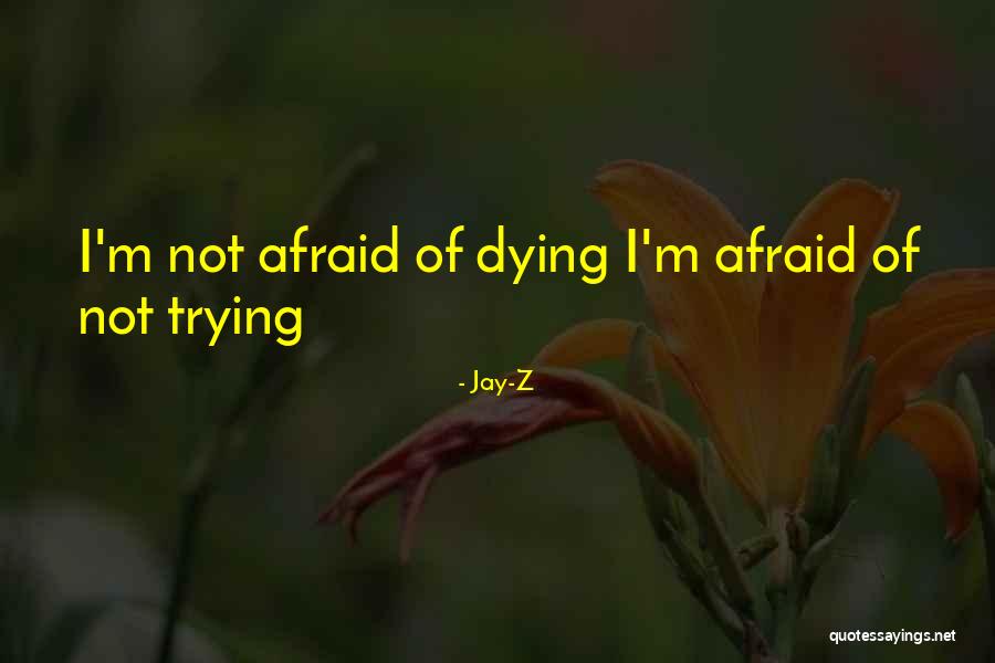Paralegals In Fresno Quotes By Jay-Z Paralegals In Fresno Quotes By Jay-Z