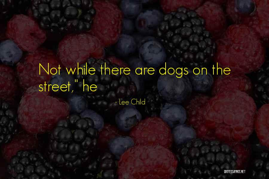 Parallam Sizes Quotes By Lee Child Parallam Sizes Quotes By Lee Child