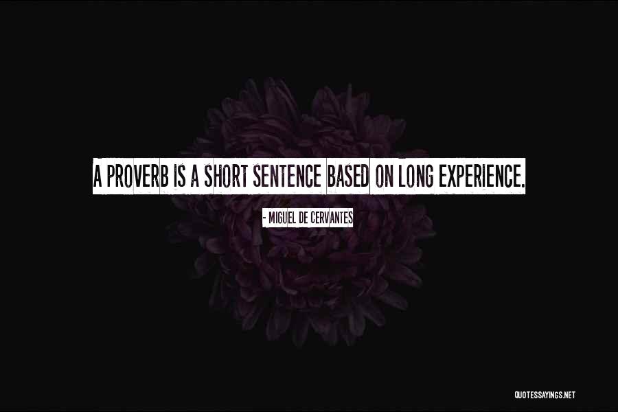 Parallam Sizes Quotes By Miguel De Cervantes Parallam Sizes Quotes By Miguel De Cervantes
