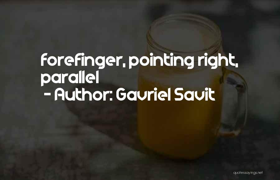 Parallel Quotes By Gavriel Savit