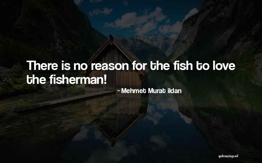 Parallelepipedo Quotes By Mehmet Murat Ildan Parallelepipedo Quotes By Mehmet Murat Ildan