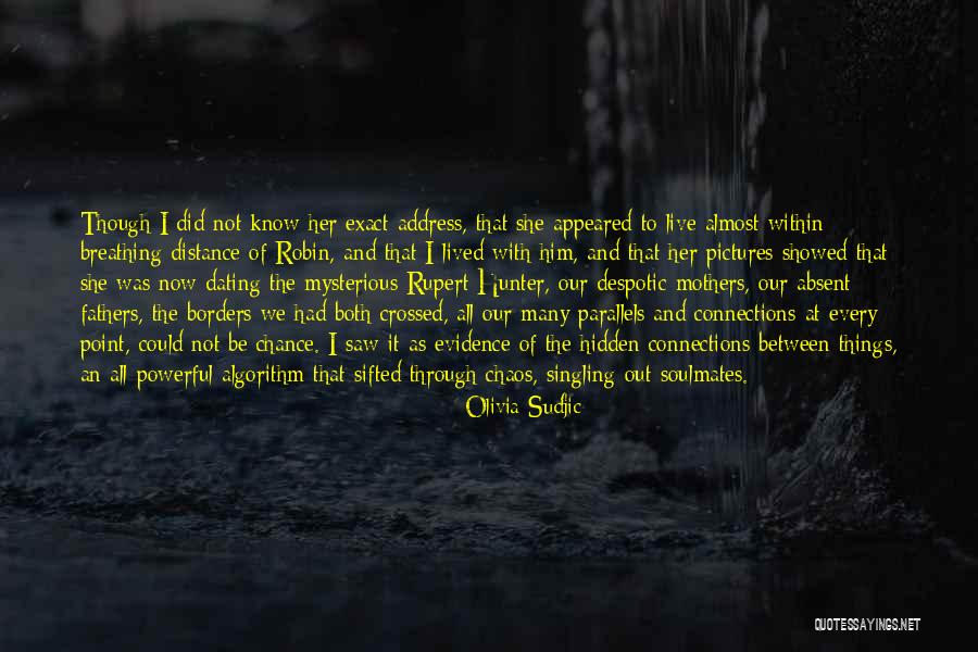 Parallels Quotes By Olivia Sudjic