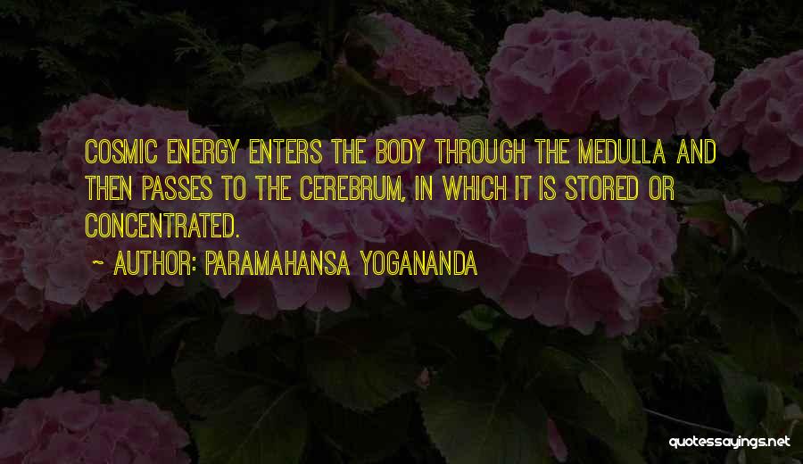 Paramahansa Yogananda Quotes 390708