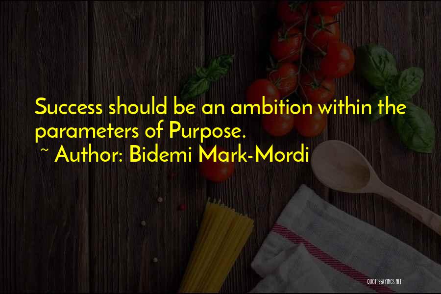 Parameters Quotes By Bidemi Mark-Mordi