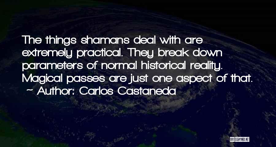 Parameters Quotes By Carlos Castaneda