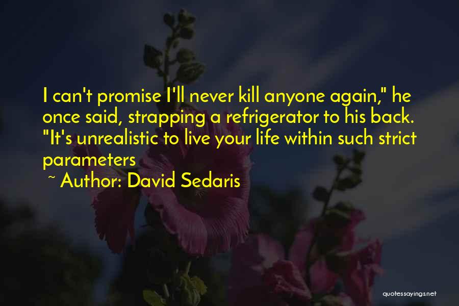 Parameters Quotes By David Sedaris