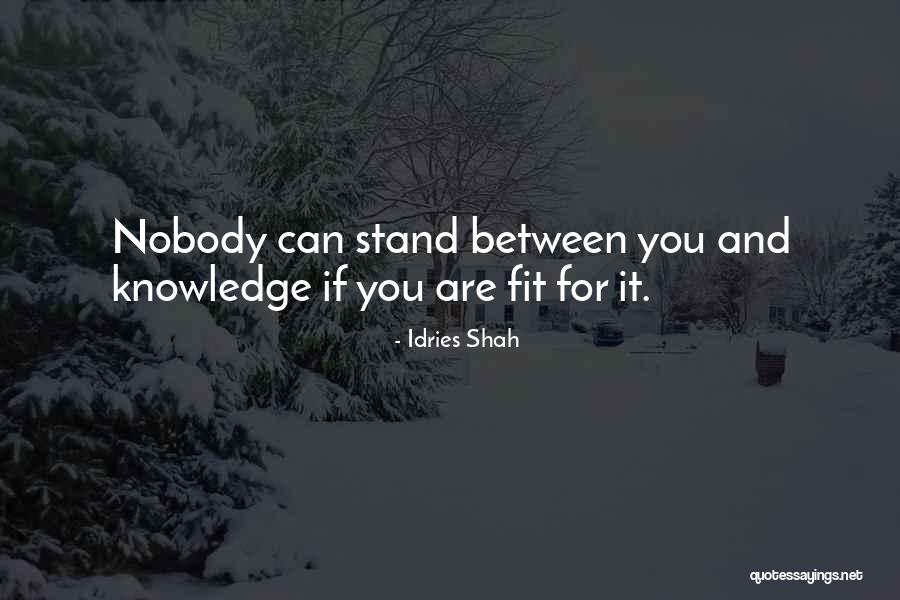 Paranoia In Macbeth Quotes By Idries Shah Paranoia In Macbeth Quotes By Idries Shah