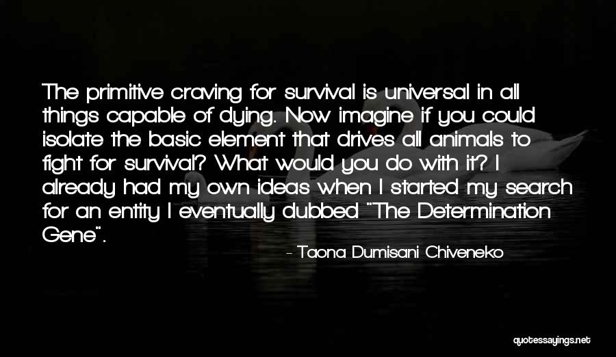 Paranromal Quotes By Taona Dumisani Chiveneko Paranromal Quotes By Taona Dumisani Chiveneko