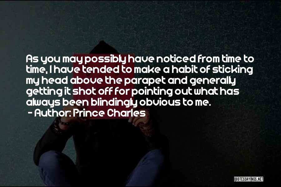 Parapet Quotes By Prince Charles