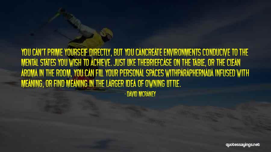 Paraphernalia Quotes By David McRaney
