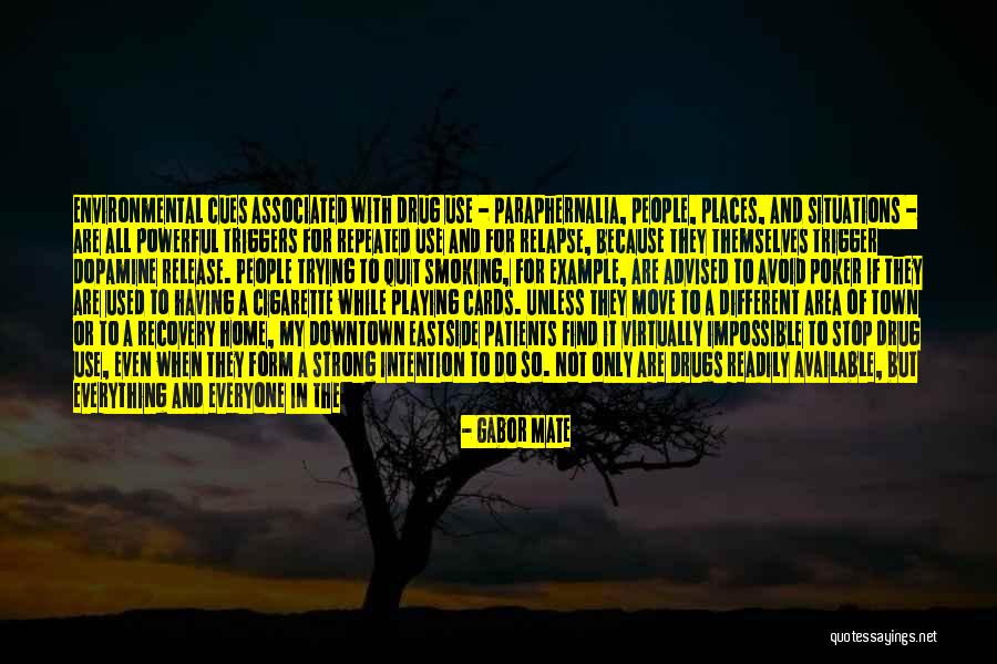Paraphernalia Quotes By Gabor Mate