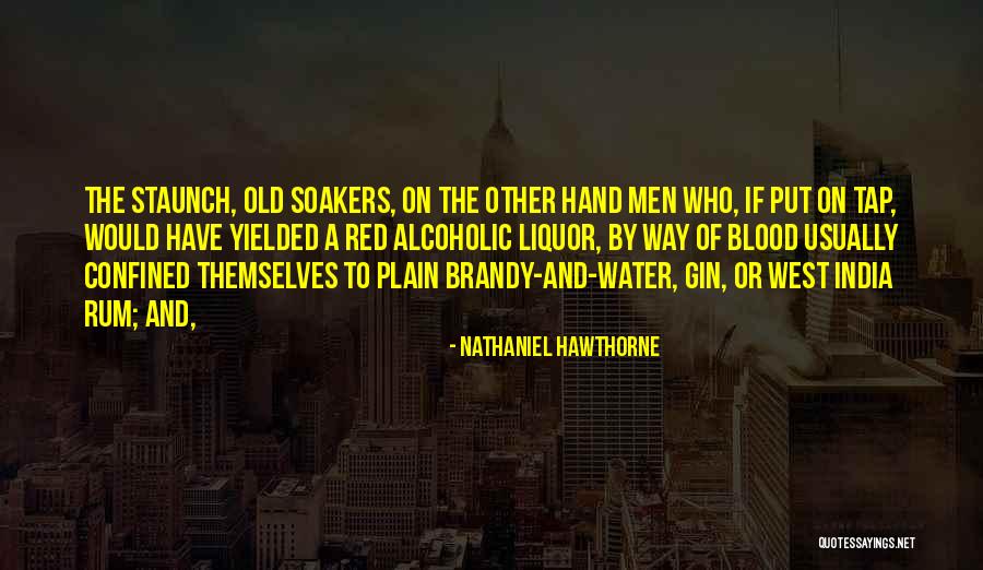 Paraphernalia Synonyms Quotes By Nathaniel Hawthorne Paraphernalia Synonyms Quotes By Nathaniel Hawthorne