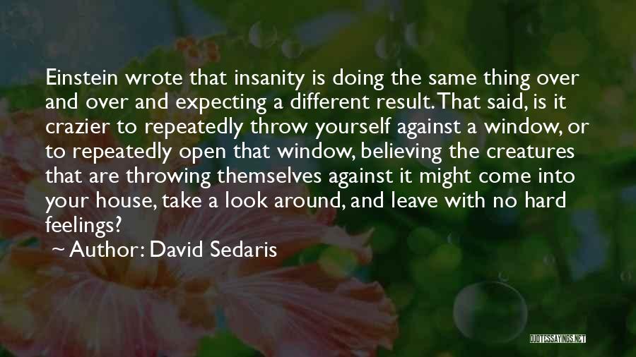 Paraphrasing And Quotes By David Sedaris