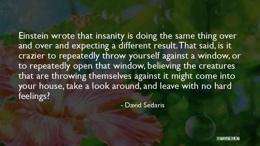 Paraphrasing And Quotes By David Sedaris