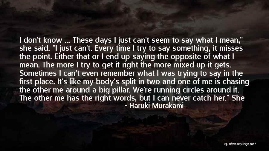 Paraplystativ Quotes By Haruki Murakami Paraplystativ Quotes By Haruki Murakami