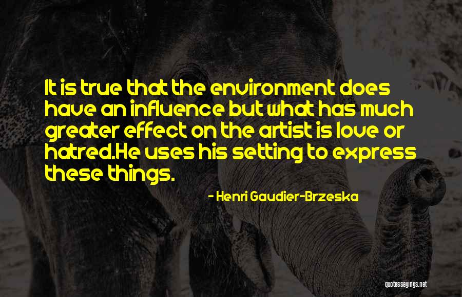 Pararara Quotes By Henri Gaudier-Brzeska